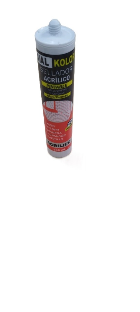 SILICONA PINTABLE (BLANCA)